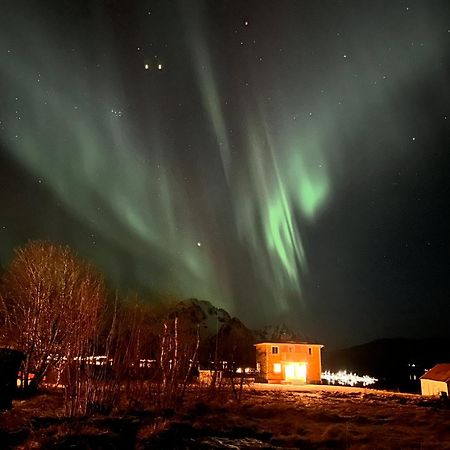 Pederstua, A Classic Fisherman'S Farm House In The Middle Of Lofoten Storeidet Exteriör bild