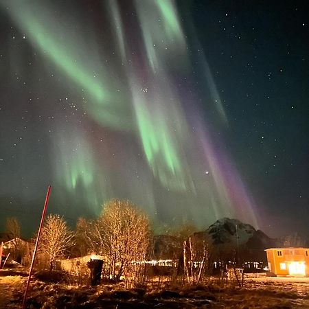 Pederstua, A Classic Fisherman'S Farm House In The Middle Of Lofoten Storeidet Exteriör bild