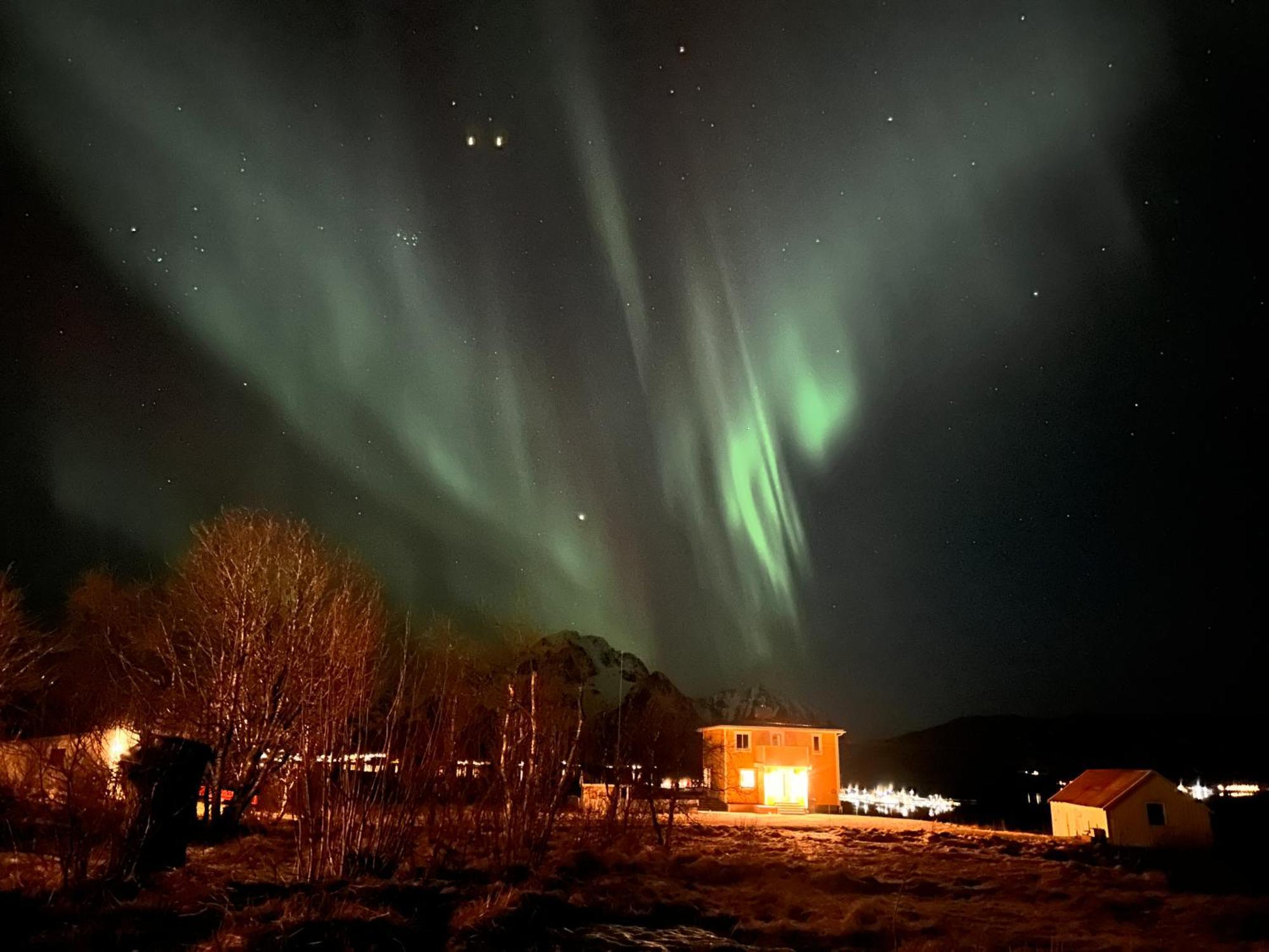 Pederstua, A Classic Fisherman'S Farm House In The Middle Of Lofoten Storeidet Exteriör bild