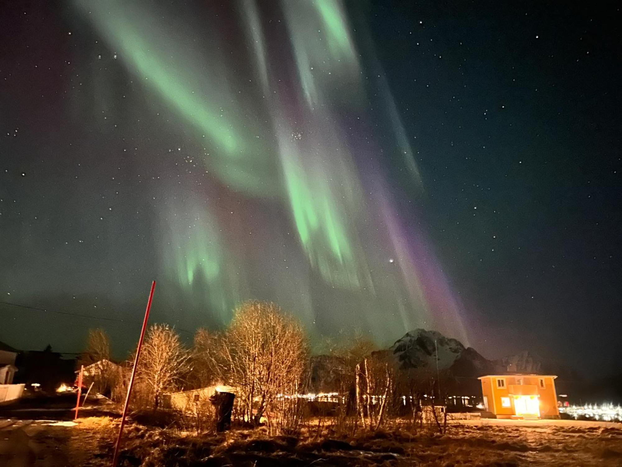 Pederstua, A Classic Fisherman'S Farm House In The Middle Of Lofoten Storeidet Exteriör bild